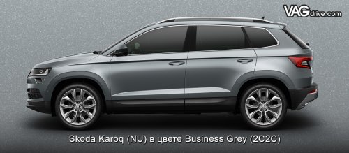 SKODA-KAROQ-Business Grey.jpg